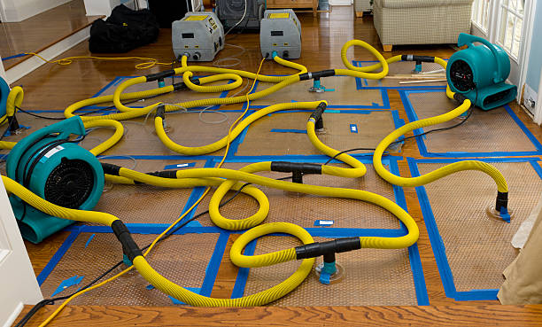 Professional Burst Pipe Water Damage technician working in Alpine, NJ