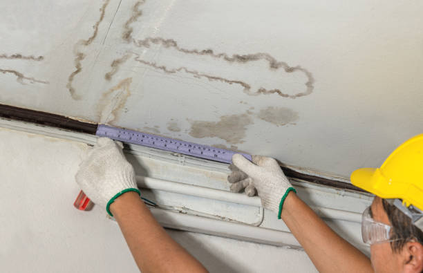 Affordable Water Damage Repair solutions in Alpine, NJ